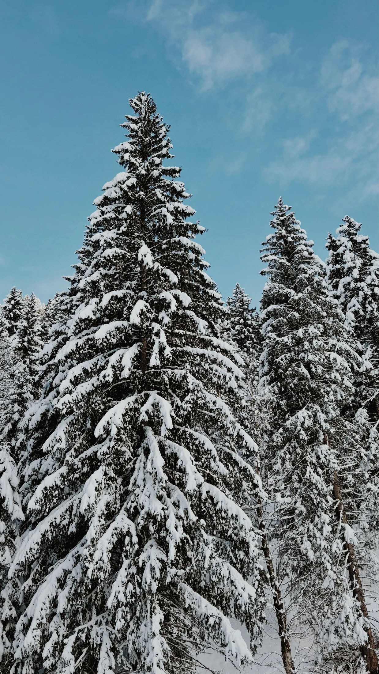Ski and winter mountain photography