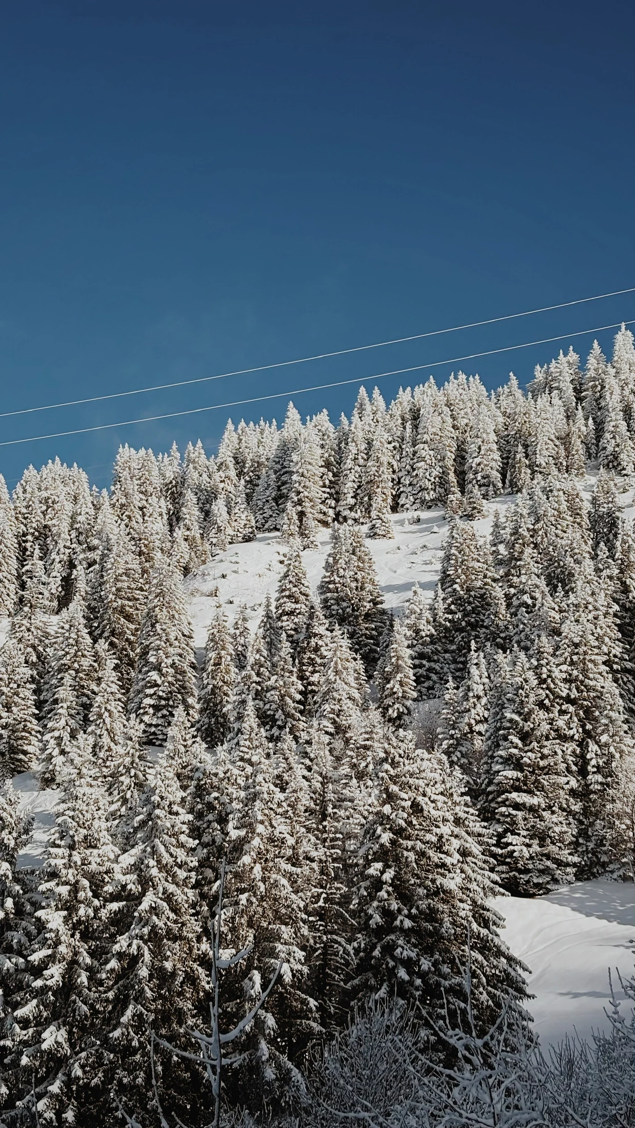 Ski and winter mountain photography